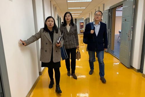 以評促建，守護心靈成長——省委教育工委專家組蒞臨我院開展心理健康教育與咨詢中心標準化驗收工作